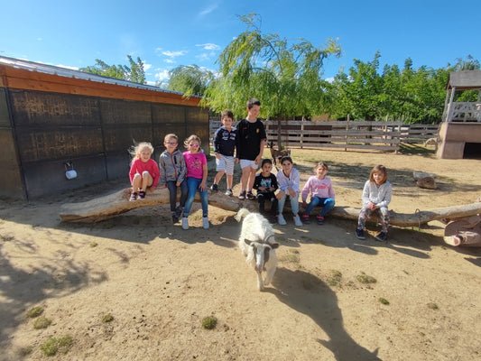 Anniversaire à la Ferme